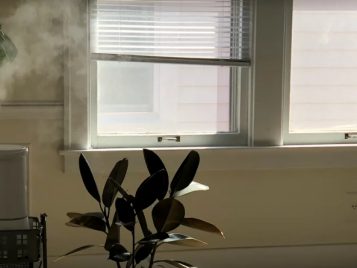 Beck Arnett, History of Art major 